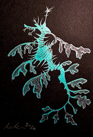 Leafy Sea Dragon